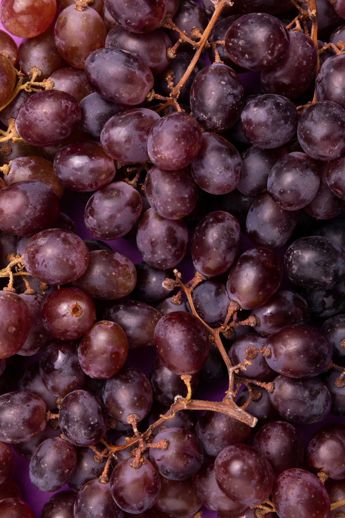 Bunch of Grapes
