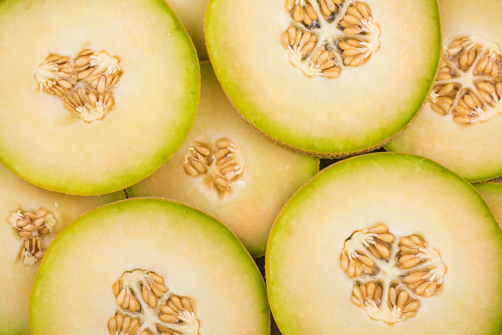 Honeydew Green Melon Slices